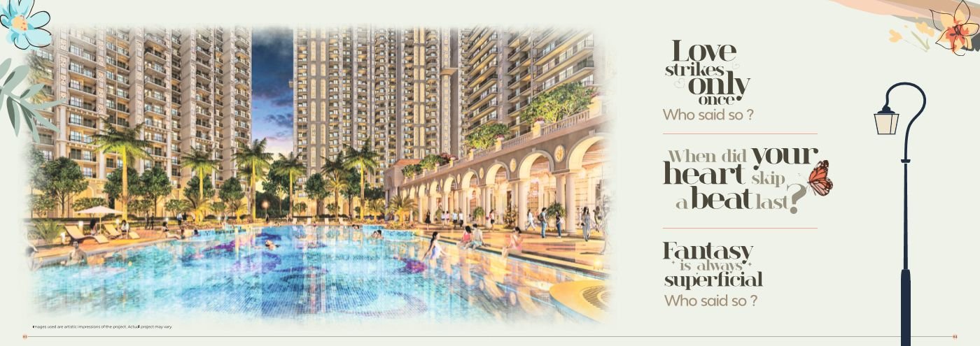 Prateek Grand Begonia